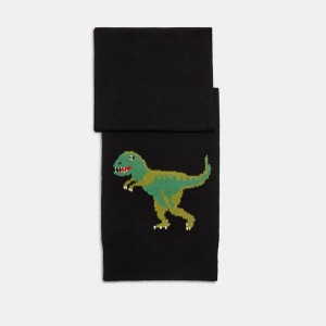 Black Women COACH® Rexy Muffler Scarf | 09537IYAZ