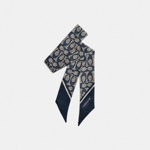 Black Women COACH® Textured Signature Print Silk Skinny Scarf | 19342FEIP