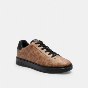 Brown Men COACH® High Line In Signature Canvas Sneakers | 75809OTAF