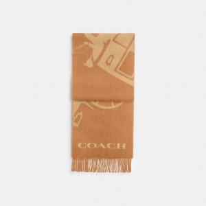 Brown Women COACH® Horse And Carriage Cashmere Muffler Scarf | 40876FOSG