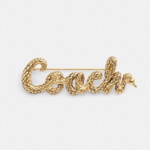 Gold Women COACH® New Year Coach Snake Script Brooch Jewelry | 42019MDLK