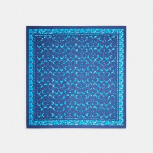 Navy Women COACH® Signature Rose Meadow Print Silk Square Scarf | 05931KHQF