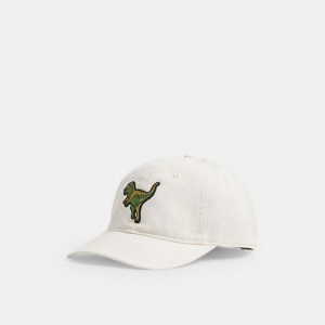 White Men COACH® Rexy Patch Baseball Hat | 59382KRVB