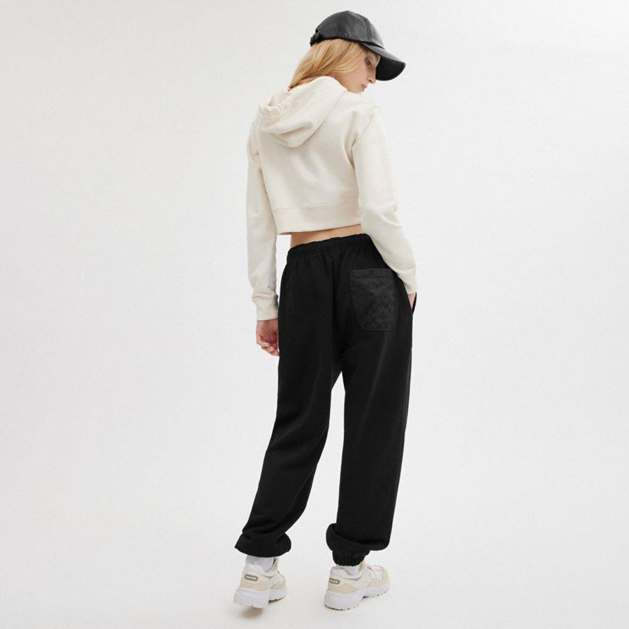 Black Women COACH® Essential Solid Joggers Pants | 41982WVIM