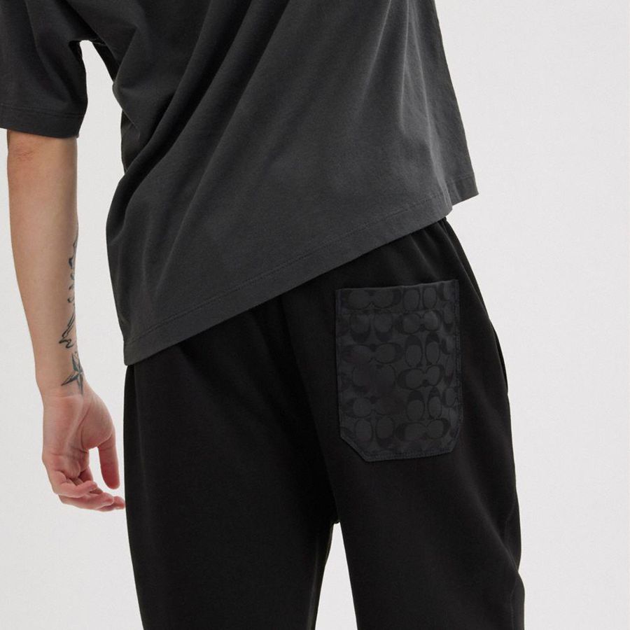 Black Women COACH® Essential Solid Joggers Pants | 41982WVIM