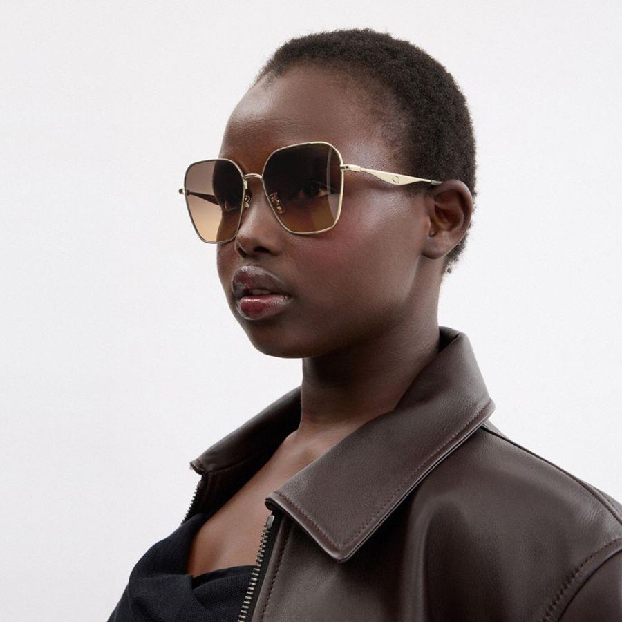 Black Women COACH® Hardware Metal Hexagon Sunglasses | 90846HRXI