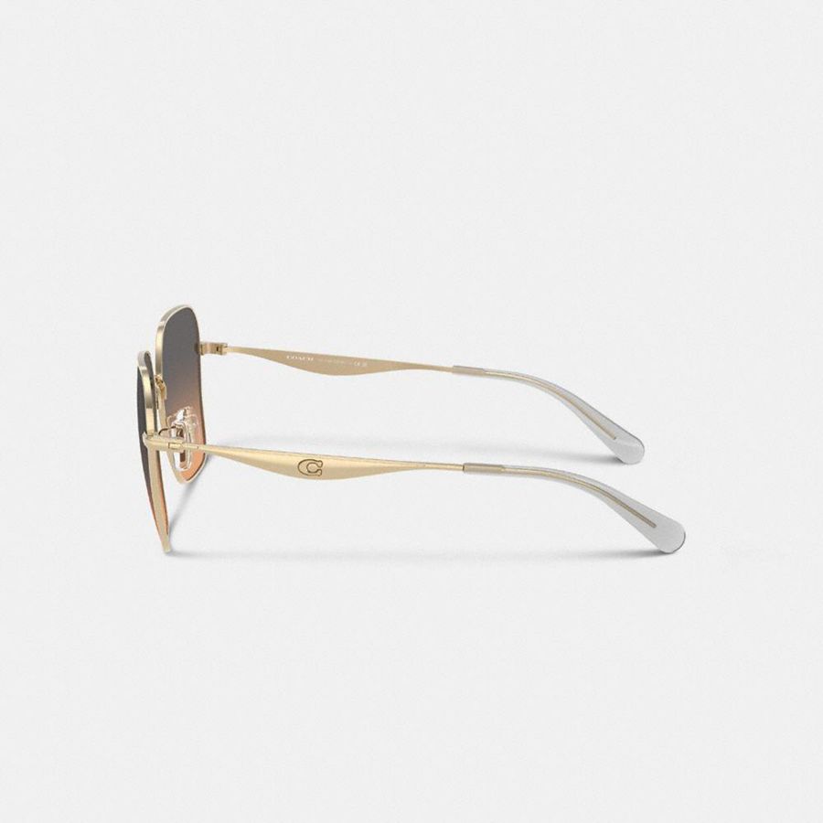 Black Women COACH® Hardware Metal Hexagon Sunglasses | 90846HRXI