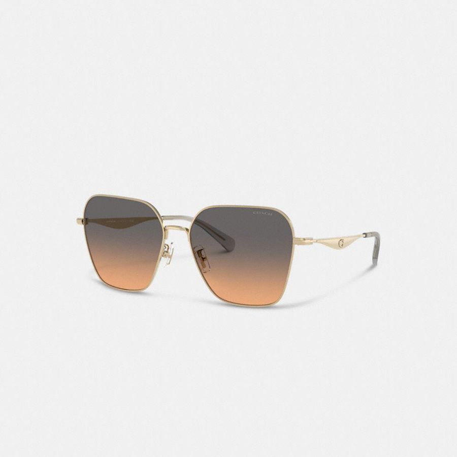 Black Women COACH® Hardware Metal Hexagon Sunglasses | 90846HRXI