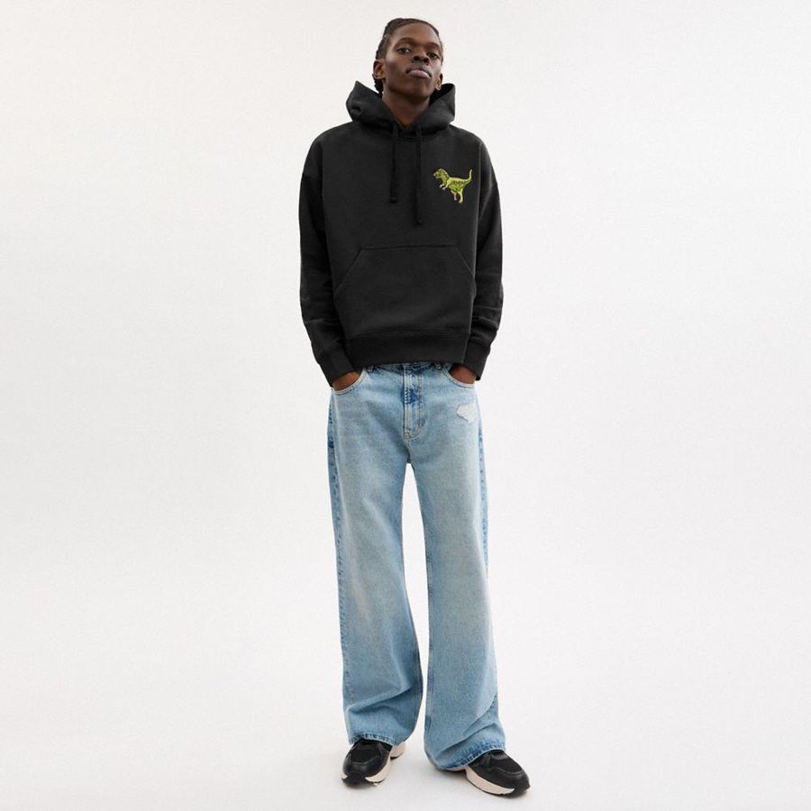 Black Women COACH® Rexy Hoodie | 26908JLSQ