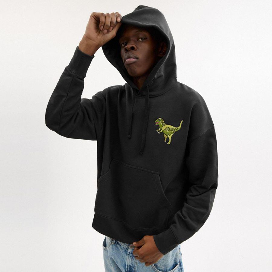 Black Women COACH® Rexy Hoodie | 26908JLSQ
