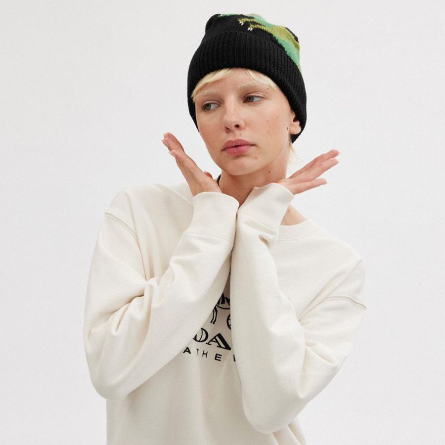 Black Women COACH® Rexy Knit Beanie | 92047OCUL