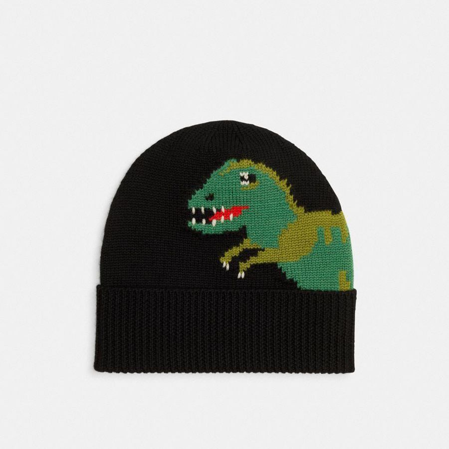 Black Women COACH® Rexy Knit Beanie | 92047OCUL
