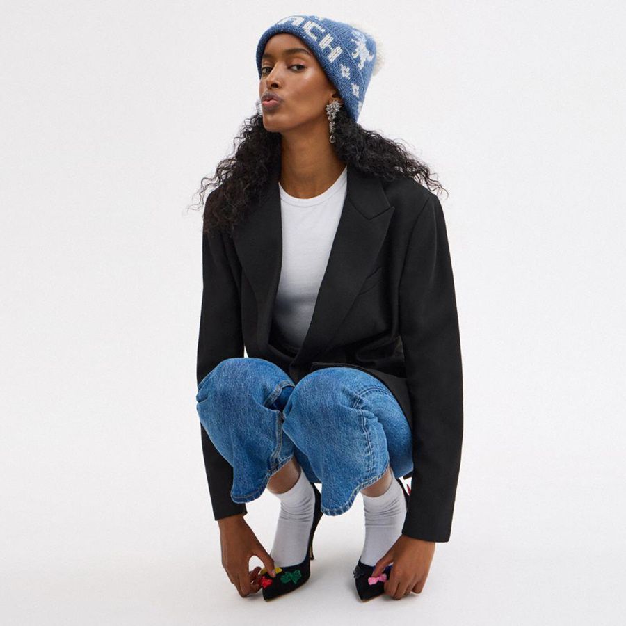 Blue Women COACH® Rexy Fair Isle Print Beanie | 39546UVWK