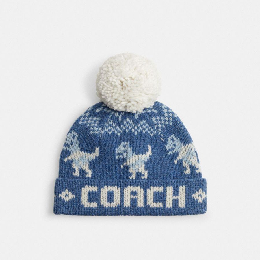 Blue Women COACH® Rexy Fair Isle Print Beanie | 39546UVWK