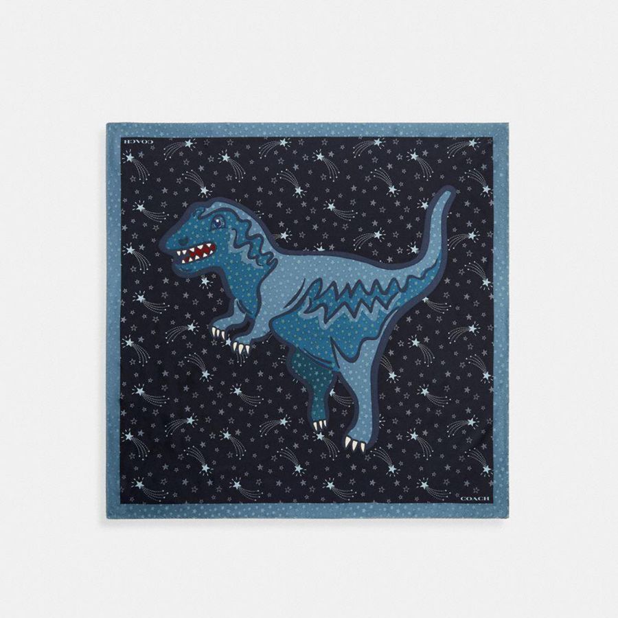 Blue Women COACH® Shooting Star Rexy Print Silk Square Scarf | 90314FMUH