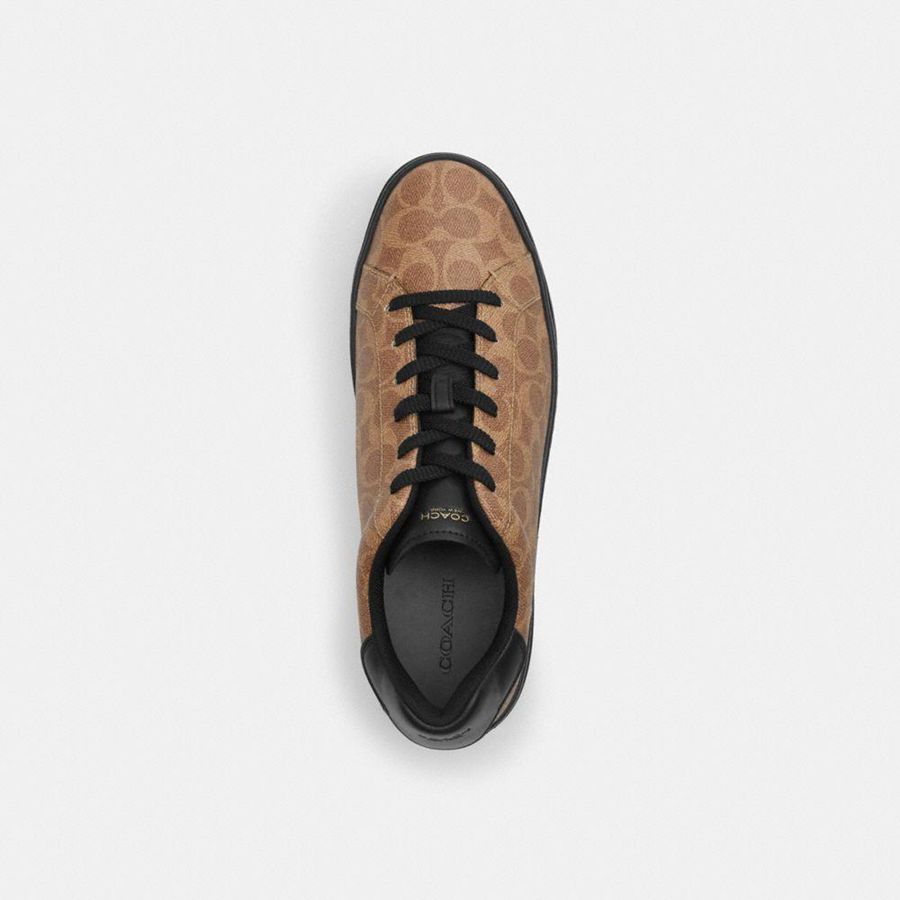 Brown Men COACH® High Line In Signature Canvas Sneakers | 75809OTAF