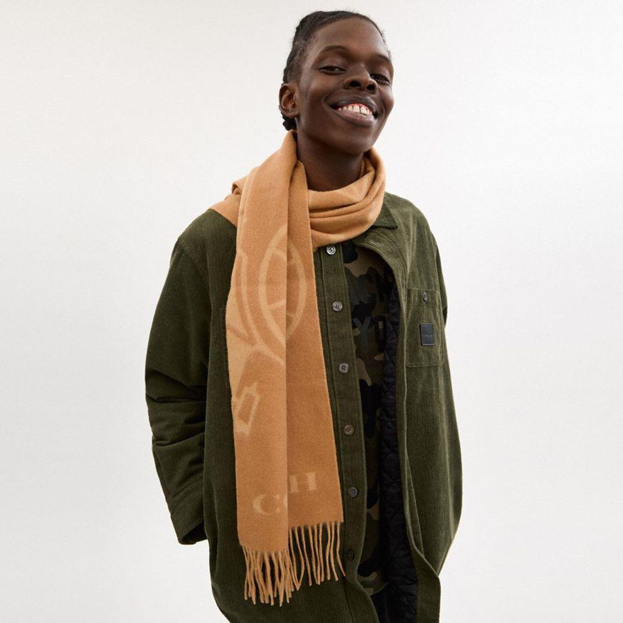 Brown Men COACH® Horse And Carriage Cashmere Muffler Scarf | 57689PVGM