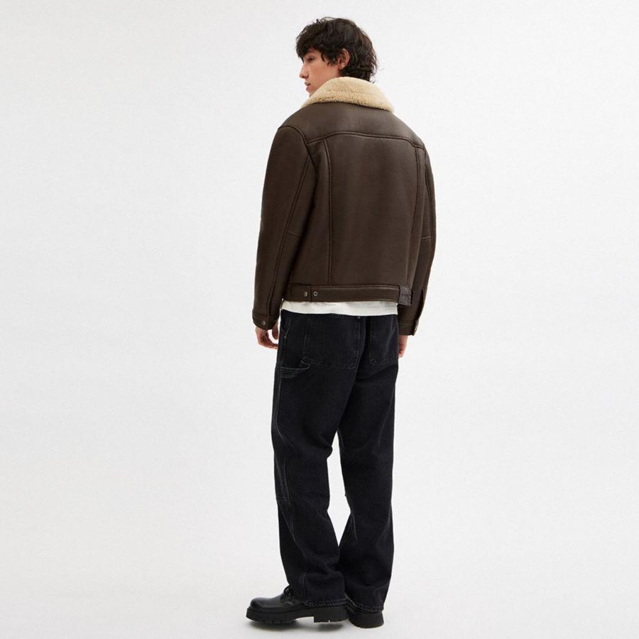 Brown Men COACH® Shearling Trucker Jacket | 08135ROBU