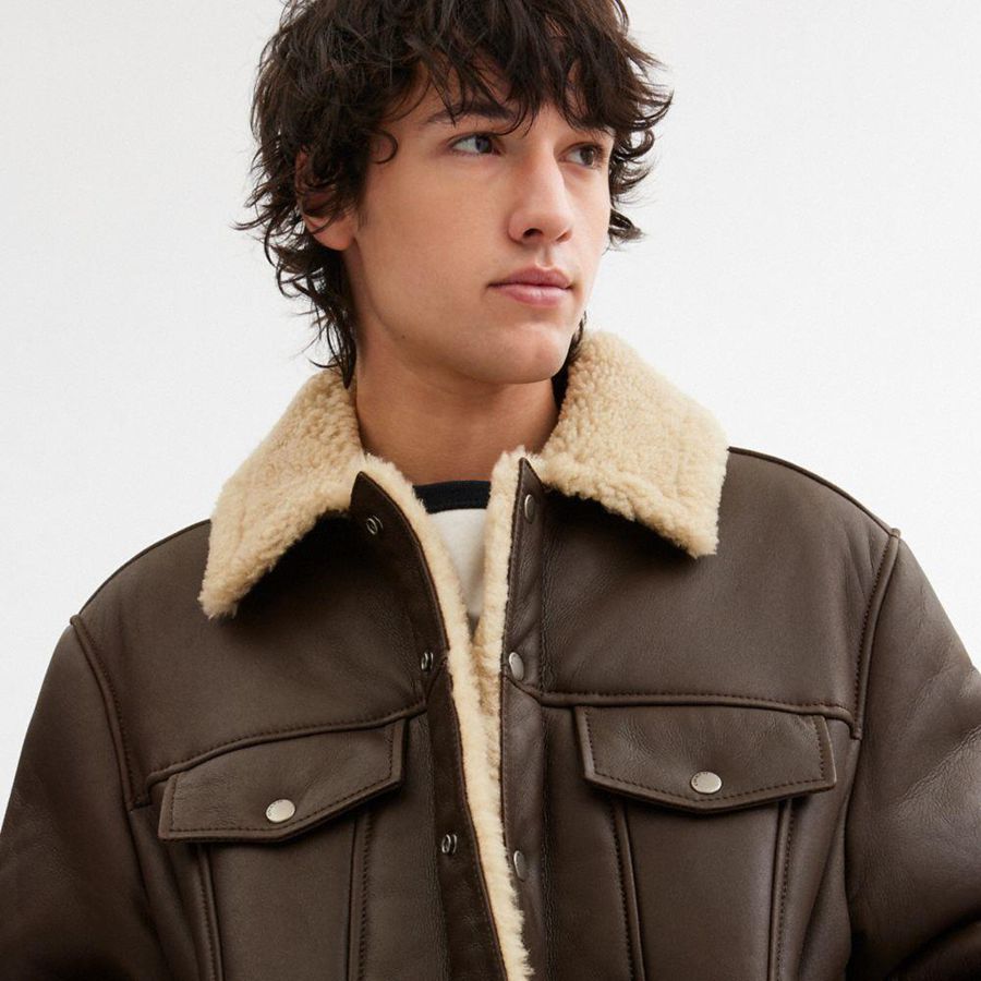 Brown Men COACH® Shearling Trucker Jacket | 08135ROBU