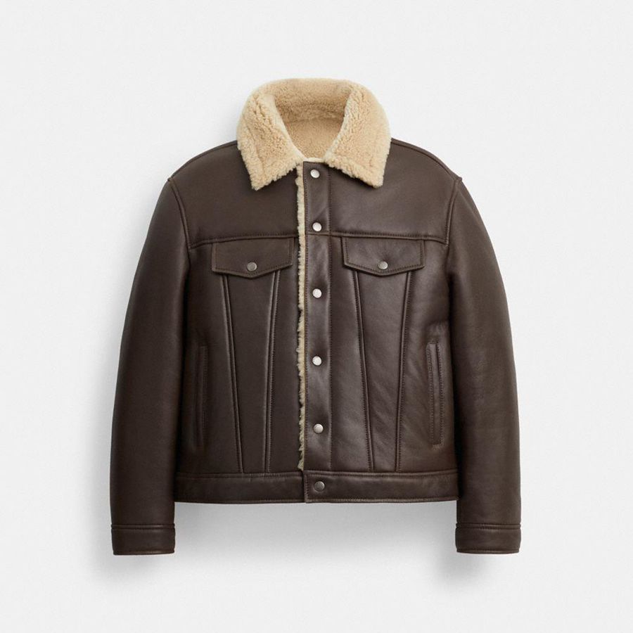 Brown Men COACH® Shearling Trucker Jacket | 08135ROBU