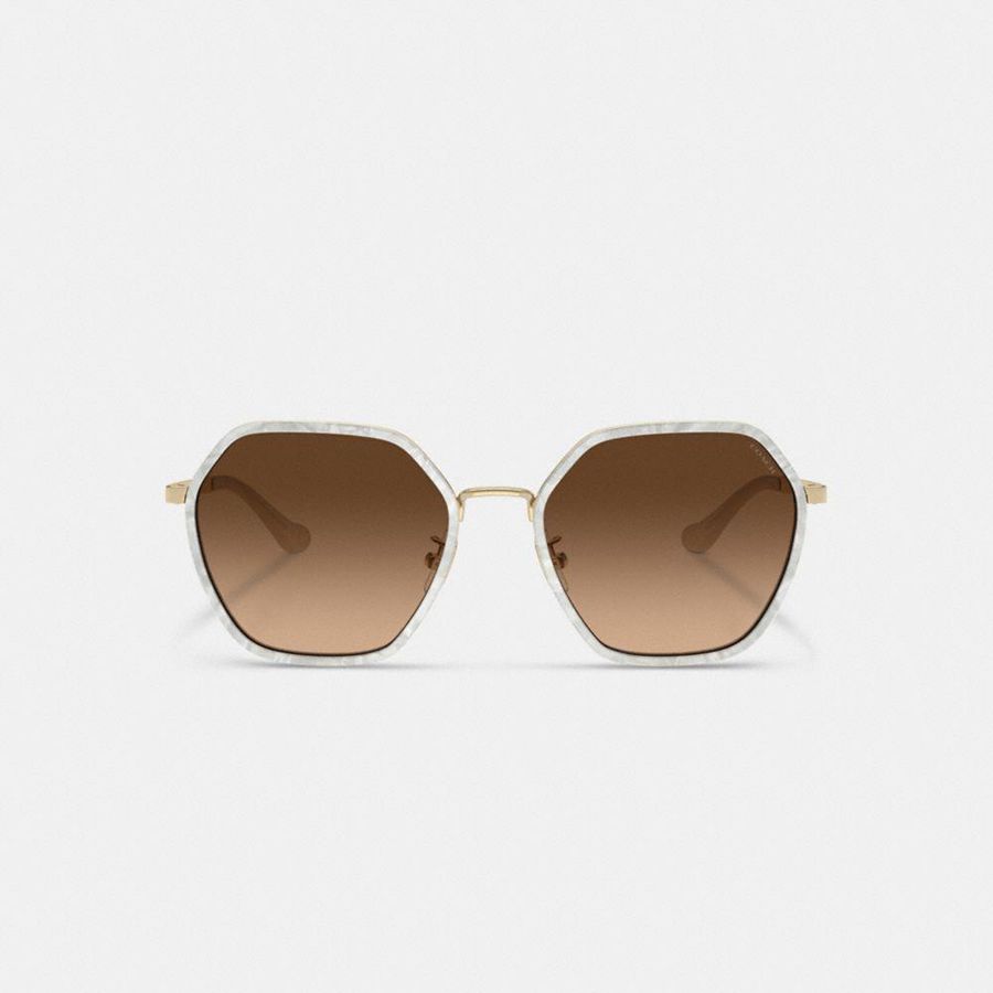 Brown Women COACH® Embellished Narrow Metal Hexagon Sunglasses | 23071FPIX