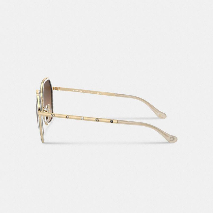 Brown Women COACH® Embellished Narrow Metal Hexagon Sunglasses | 23071FPIX