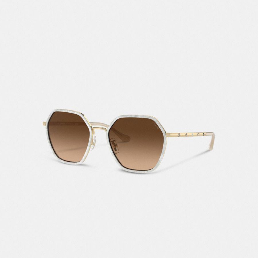 Brown Women COACH® Embellished Narrow Metal Hexagon Sunglasses | 23071FPIX