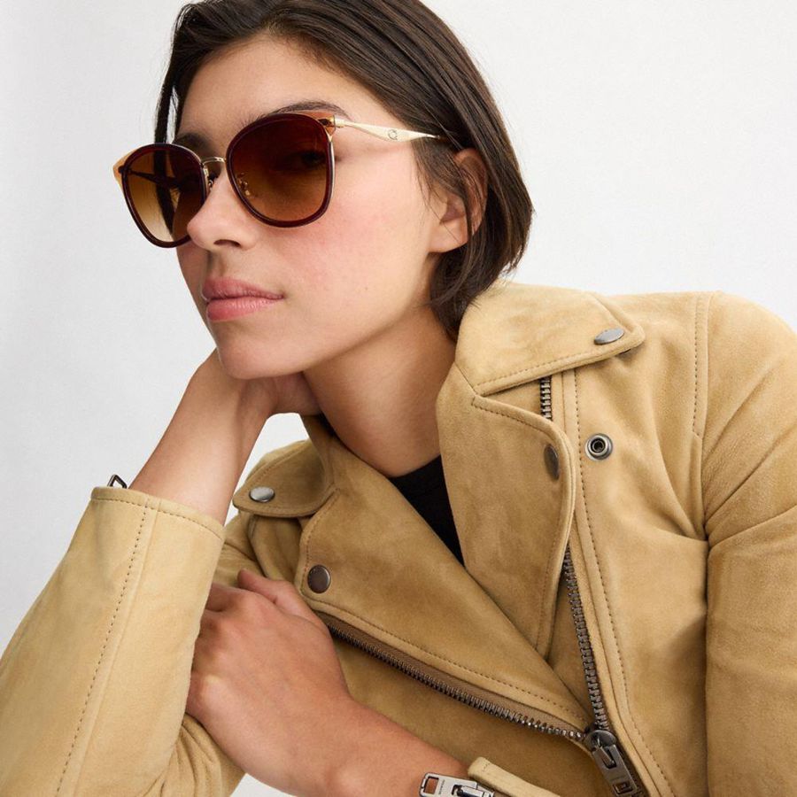 Brown Women COACH® Hardware Cat Eye Sunglasses | 29317SWEP