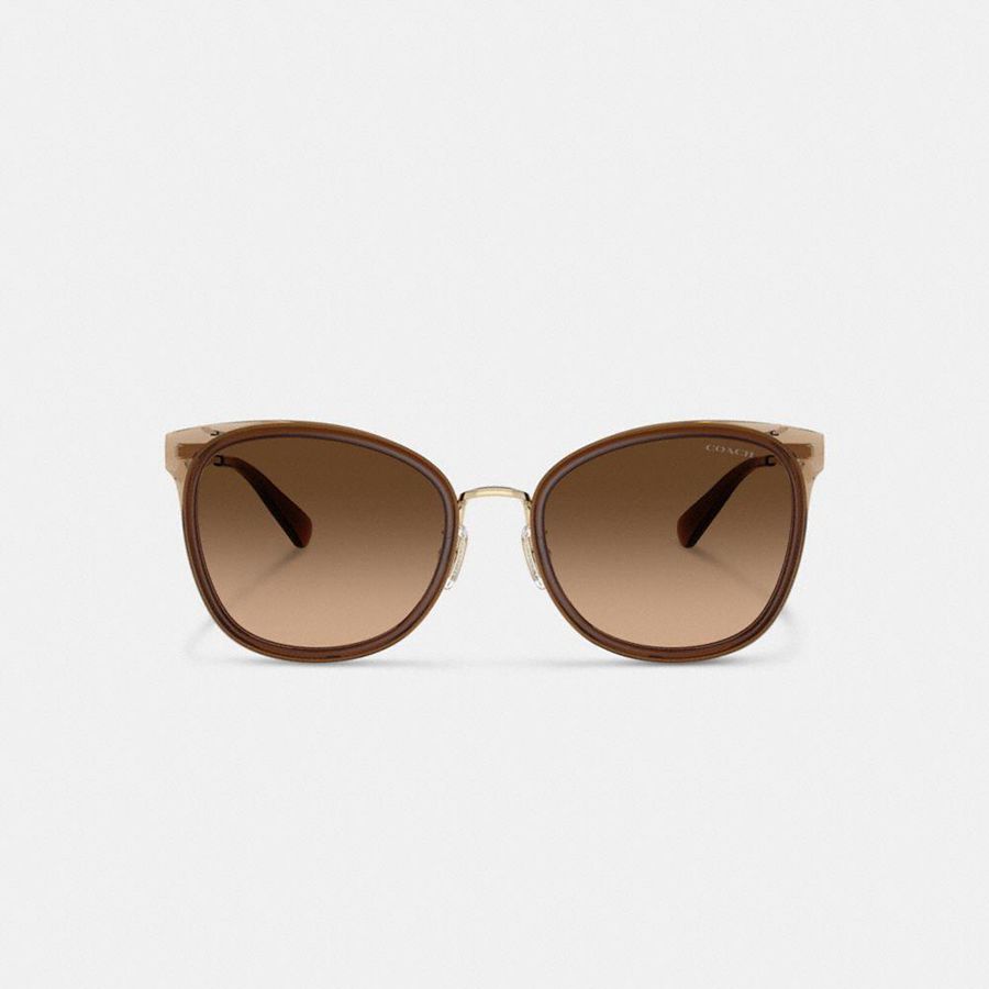 Brown Women COACH® Hardware Cat Eye Sunglasses | 29317SWEP