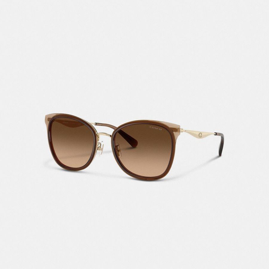 Brown Women COACH® Hardware Cat Eye Sunglasses | 29317SWEP