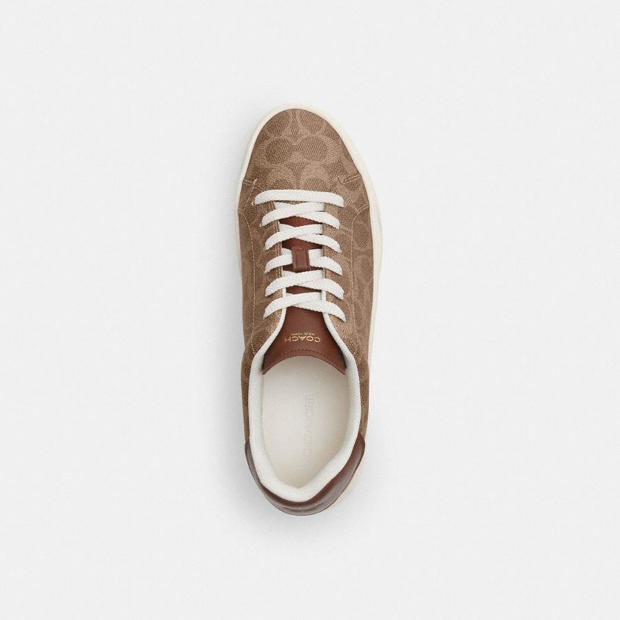 Brown Women COACH® High Line In Signature Canvas Sneakers | 48259PCDE