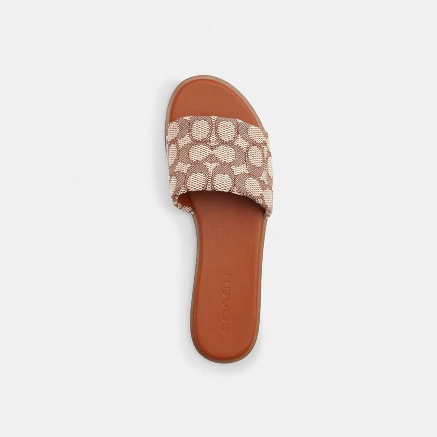 Brown Women COACH® Holly In Signature Textile Jacquard Sandals | 13849ANDB