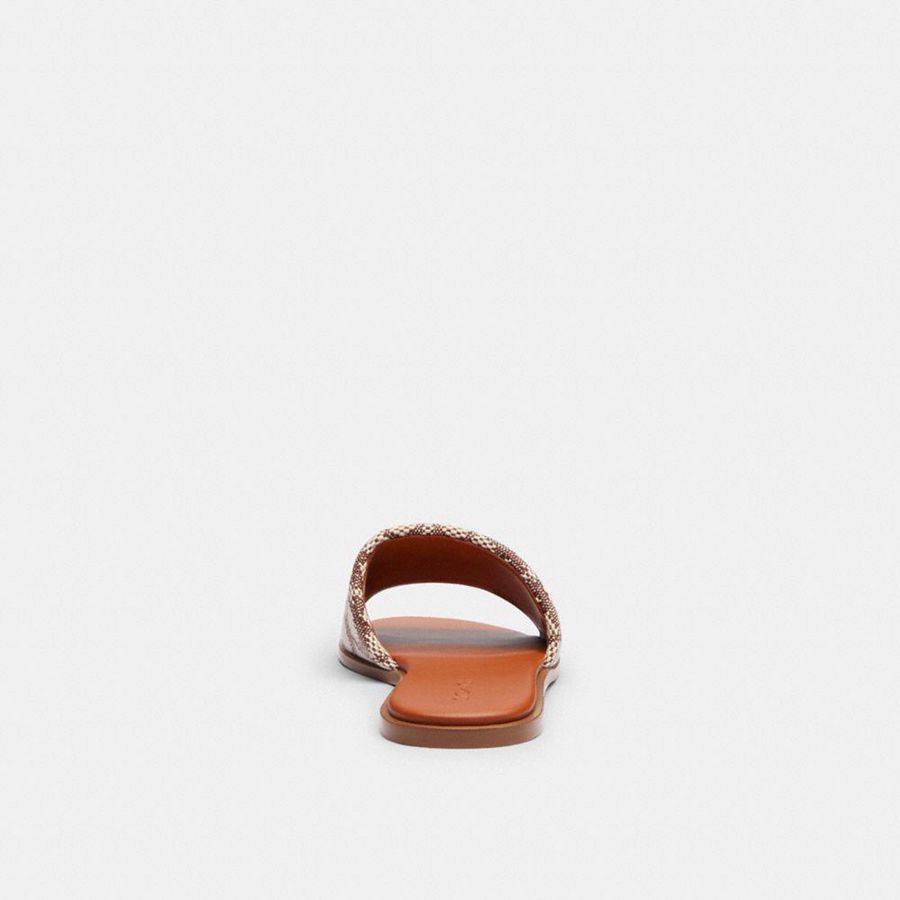 Brown Women COACH® Holly In Signature Textile Jacquard Sandals | 13849ANDB
