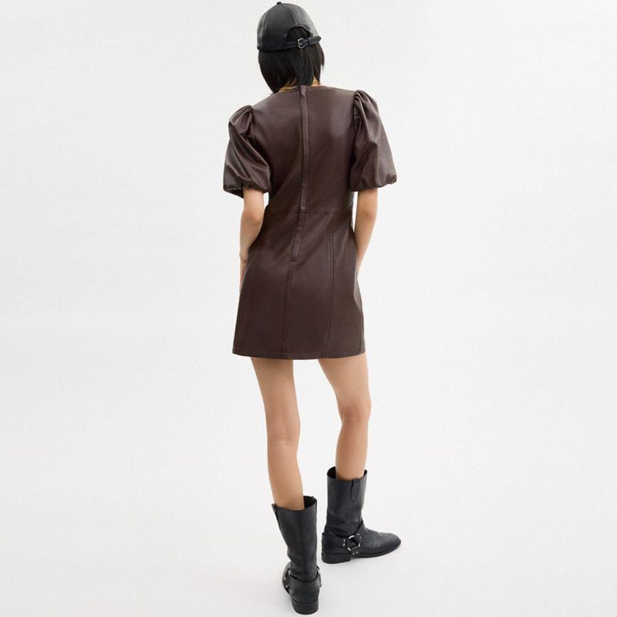 Brown Women COACH® Leather Puff Sleeve Dress | 54380GIFM