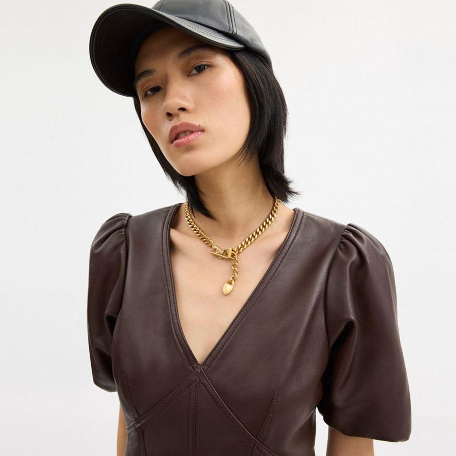 Brown Women COACH® Leather Puff Sleeve Dress | 54380GIFM