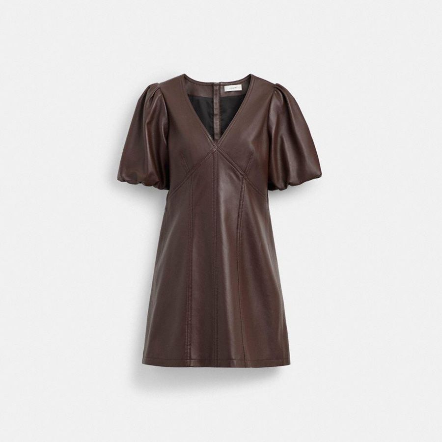 Brown Women COACH® Leather Puff Sleeve Dress | 54380GIFM