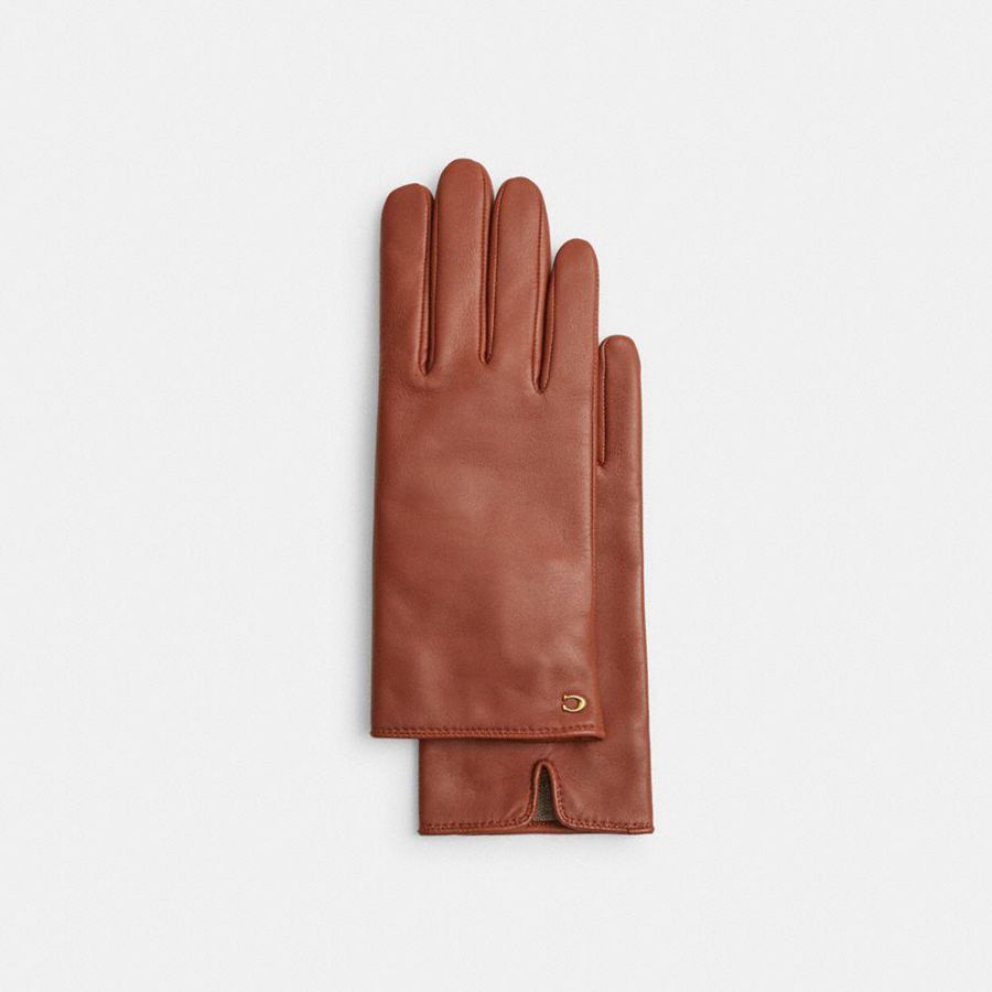 Brown Women COACH® Sculpted Signature Leather Tech Gloves | 89301HBLU