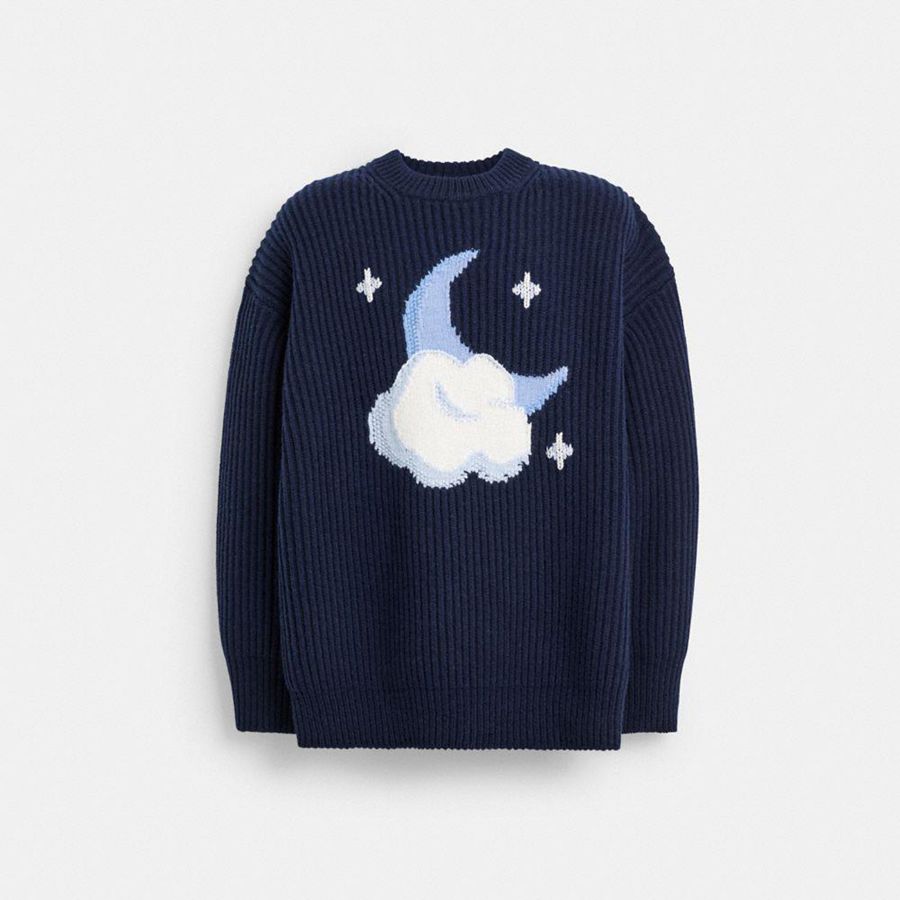 Navy Men COACH® Chunky Graphic In Recycled Wool Sweater | 62013ZLIP