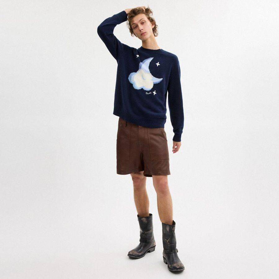 Navy Men COACH® Graphic Intarsia Crewneck Sweater | 12068NQWI