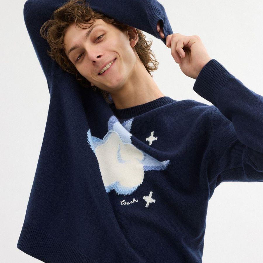 Navy Men COACH® Graphic Intarsia Crewneck Sweater | 12068NQWI