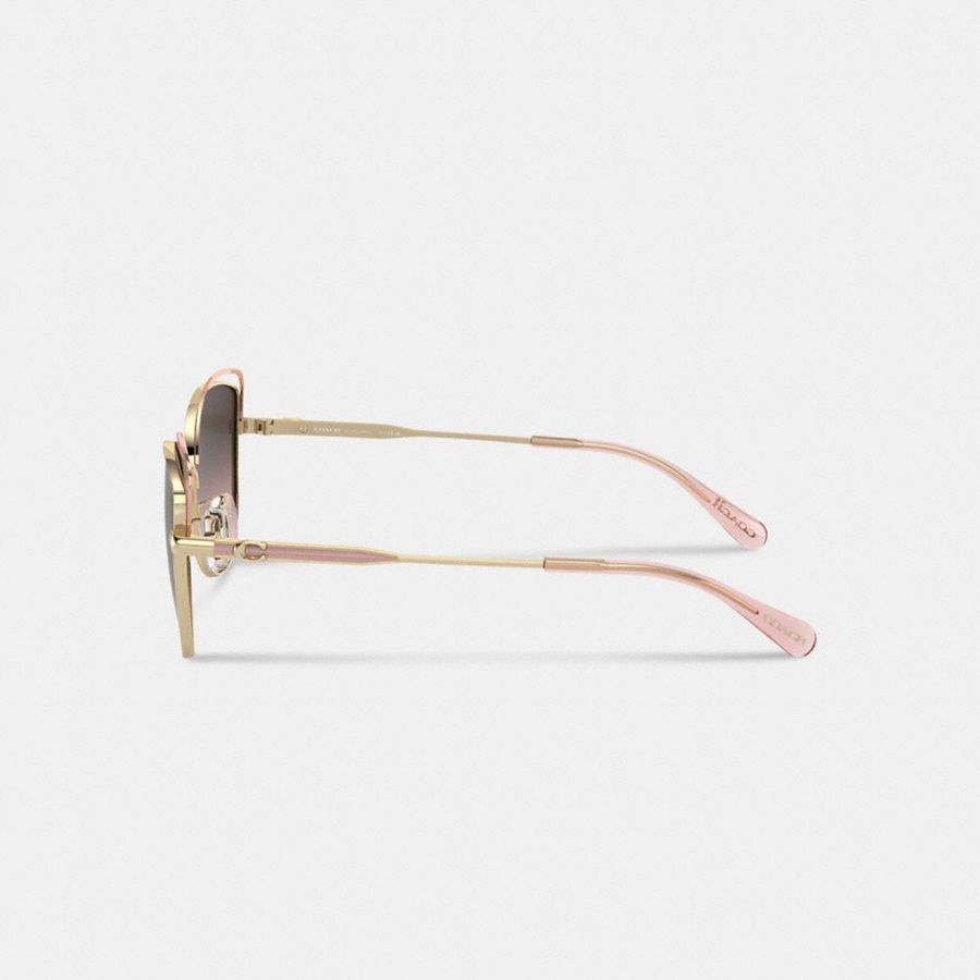 Pink Women COACH® Bandit Wire Oval Sunglasses | 62158YADP