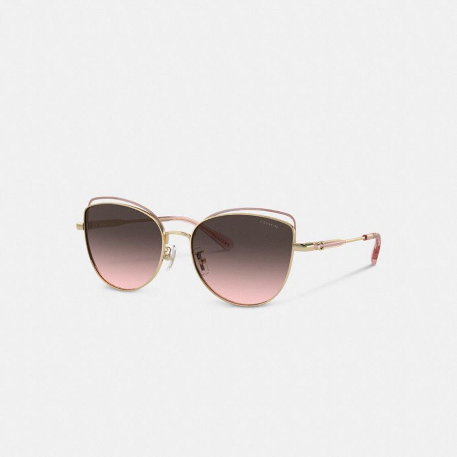 Pink Women COACH® Bandit Wire Oval Sunglasses | 62158YADP