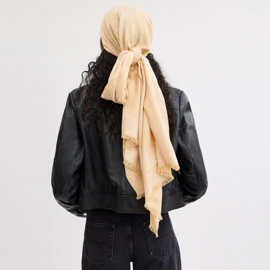 Pink Women COACH® Horse And Carriage Print Stole Scarf | 98043VPHN