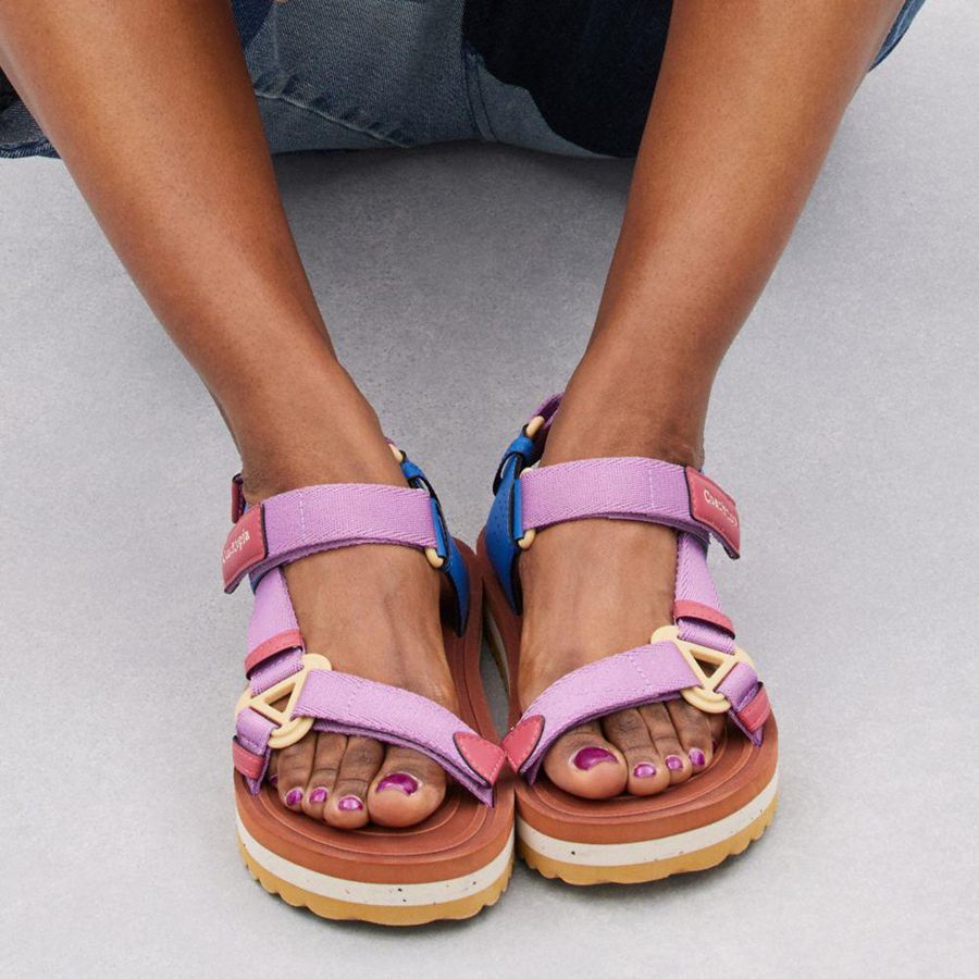 Pink Women COACH® Strappy Sandals | 37658SIJK