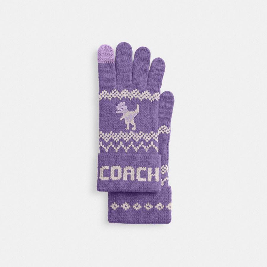 Purple Women COACH® Rexy Fair Isle Print Knit Gloves | 64217XYLB