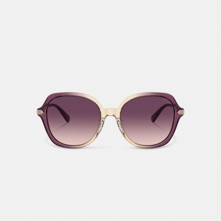 Purple Women COACH® Wrap Around Hangtag Oversized Geometric Round Sunglasses | 91356OKJA