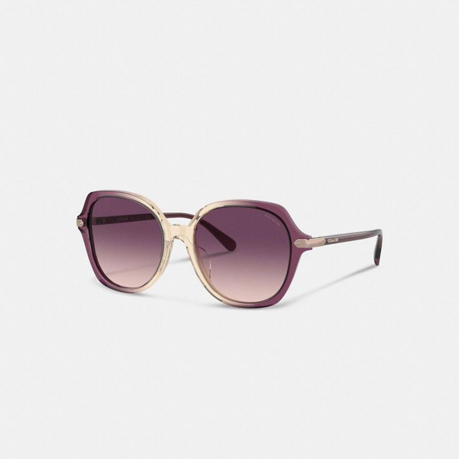 Purple Women COACH® Wrap Around Hangtag Oversized Geometric Round Sunglasses | 91356OKJA