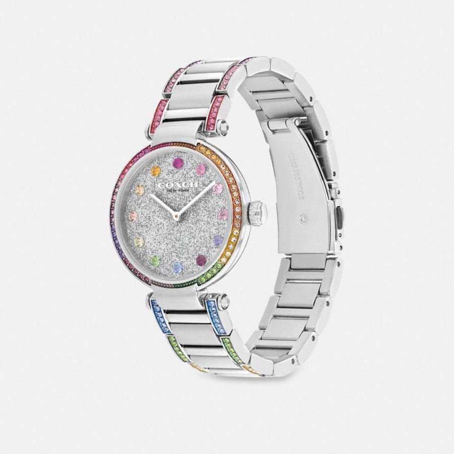 Silver Women COACH® Cary, 34 Mm Watches | 84903RGZS