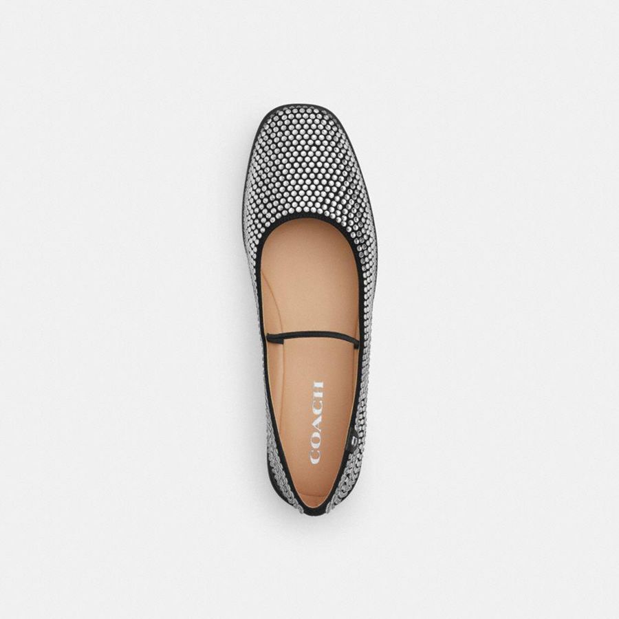 Silver Women COACH® Emilia Mary Jane With Crystal Loafers | 16597IAPK